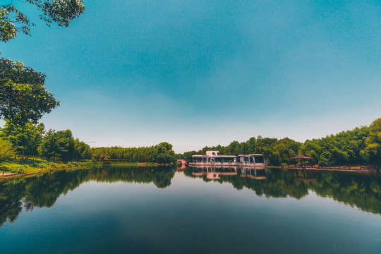 萬(wàn)竹園景觀