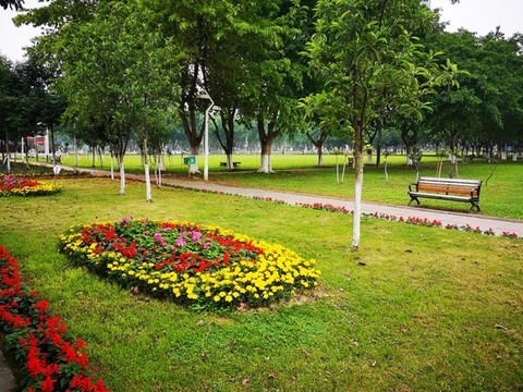 城市公園