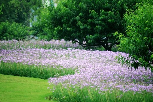 生態(tài)公園
