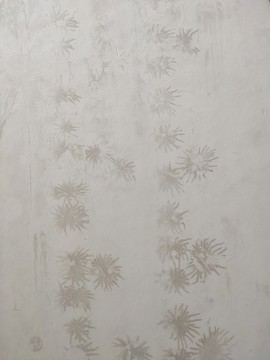 隨意的花