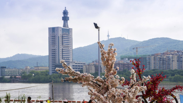 遠眺湘江西岸