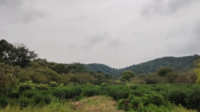 山脈