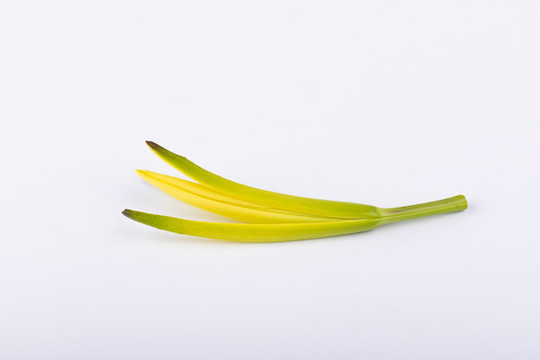 黃花菜