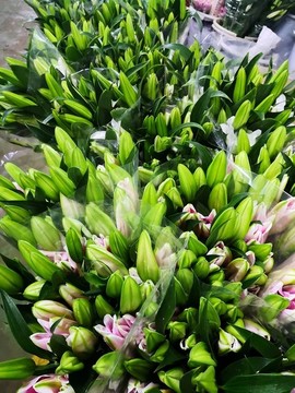 花束