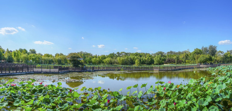 天津水上公園大畫幅