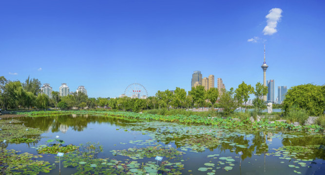 天津水上公園大畫幅