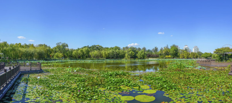 天津水上公園大畫幅