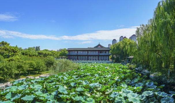 天津北寧公園大畫幅8