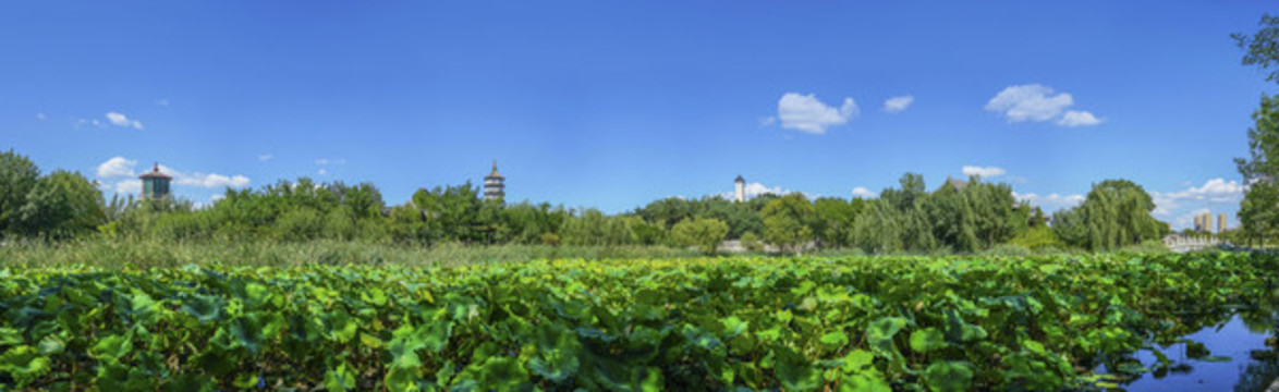 天津北寧公園大畫幅