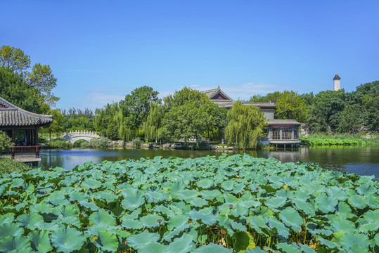 天津北寧公園高清大圖