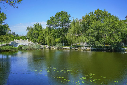 天津北寧公園高清大圖