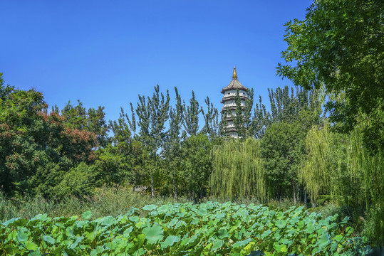 天津北寧公園高清大圖