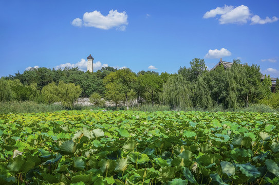 天津北寧公園高清大圖