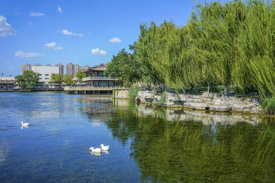 天津北寧公園高清大圖