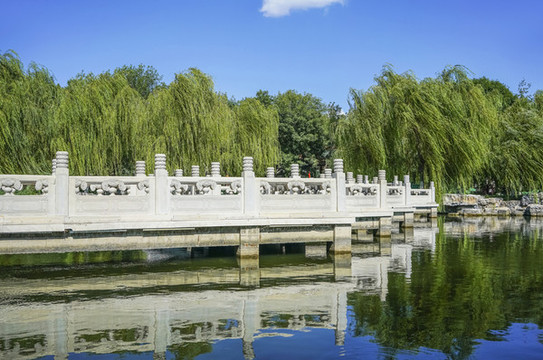 天津北寧公園曲橋