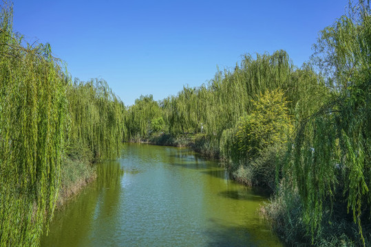 天津南翠屏公園河岸