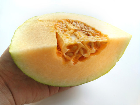 甜甜哈密瓜