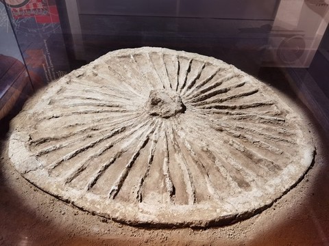 古代戰(zhàn)車左輪遺跡