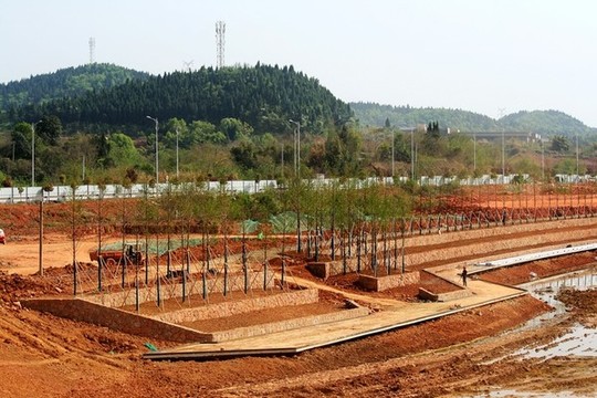 修建公園