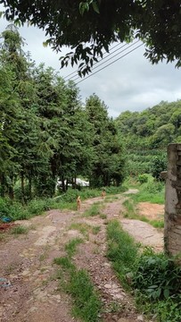 山路