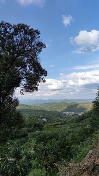 山間民居