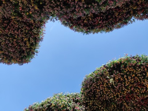 河北省園林博覽會