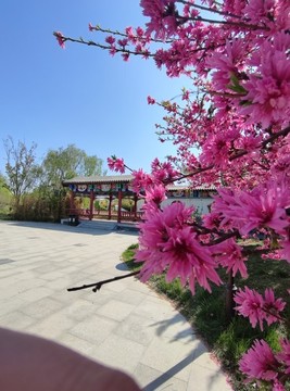 河北省園林博覽會