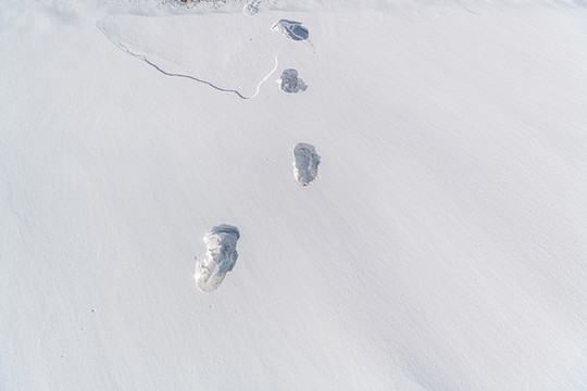 雪原足跡