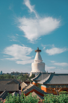 北京白塔寺