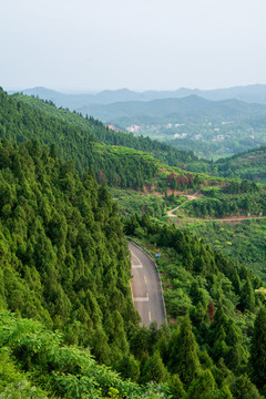 半山公路