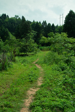 鄉(xiāng)村小路全景