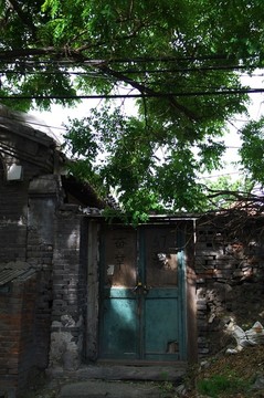 老樹老屋奮章胡同