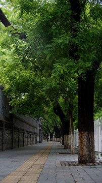 東交民巷老物件兒