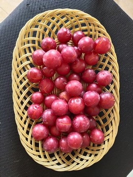 紅葉李大圖