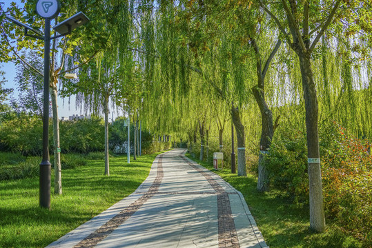 天津南翠屏公園步道