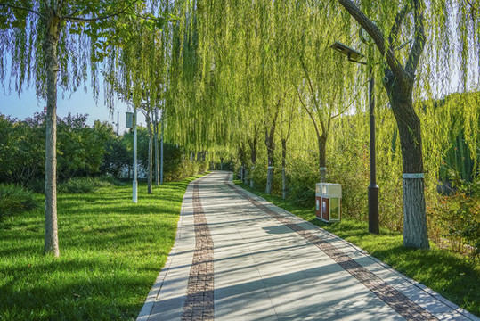 天津南翠屏公園步道