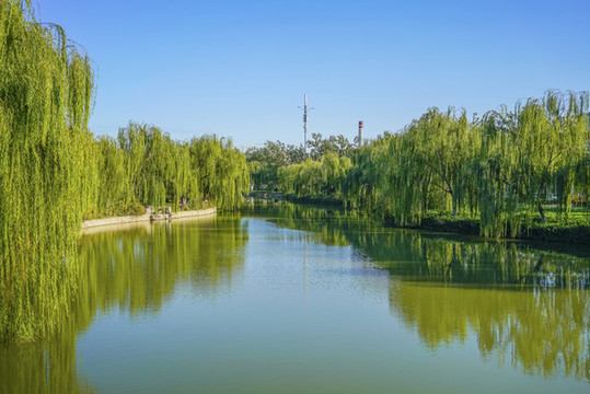 天津南翠屏公園河岸