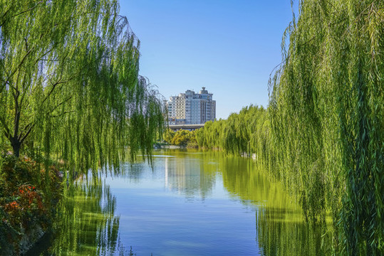 天津南翠屏公園河道景觀