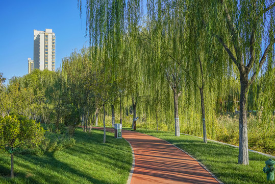 天津南翠屏公園健身步道