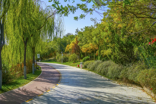 天津南翠屏公園健身步道