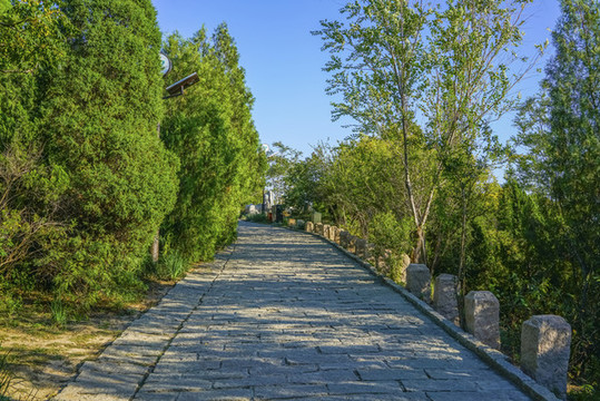 天津南翠屏公園上山路