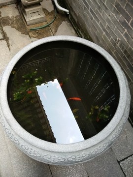 金魚缸