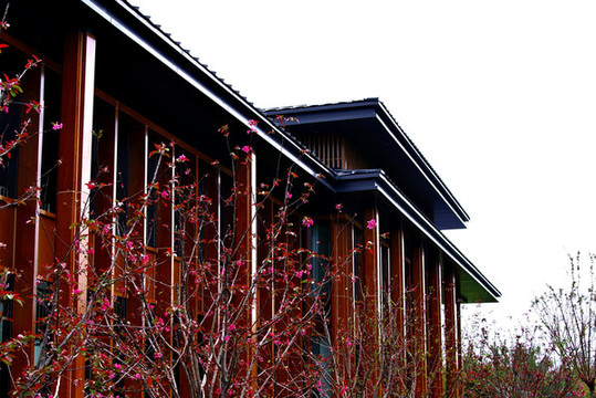 城市綠心森林公園