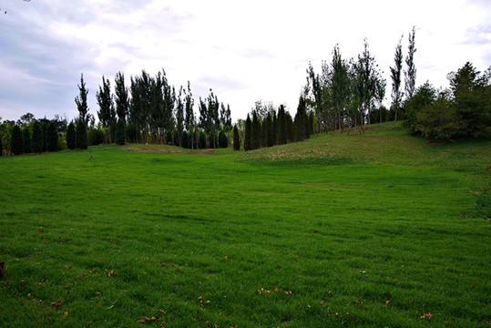 城市綠心森林公園
