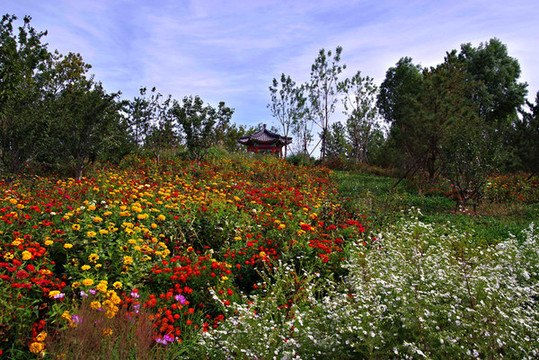 城市綠心森林公園