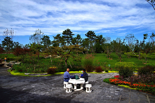 城市綠心森林公園