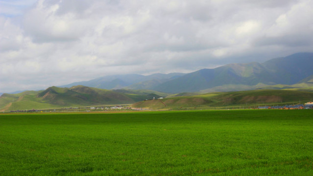 農(nóng)田