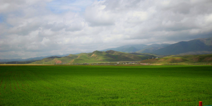 農(nóng)田