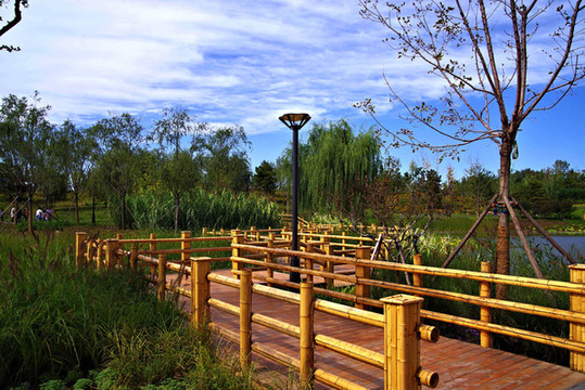 城市綠心森林公園