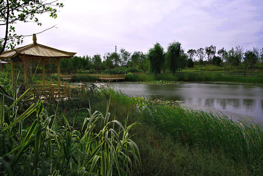 城市綠心森林公園
